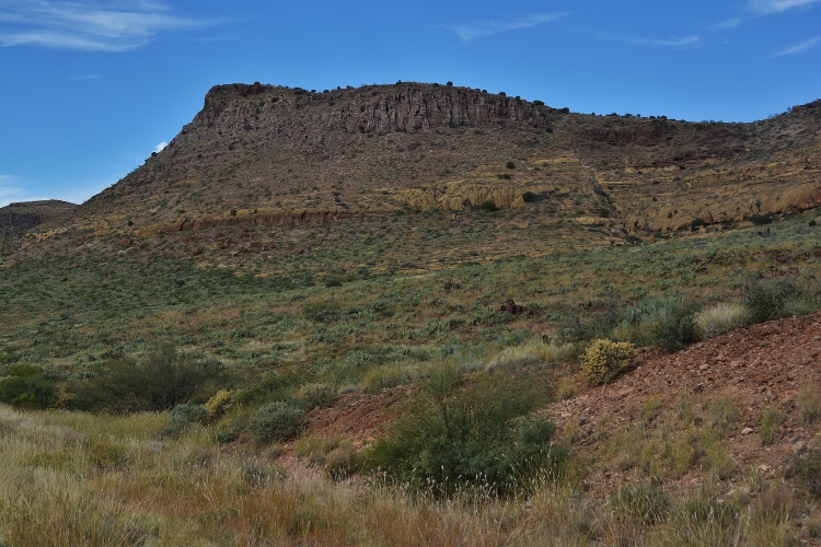 desert scenery